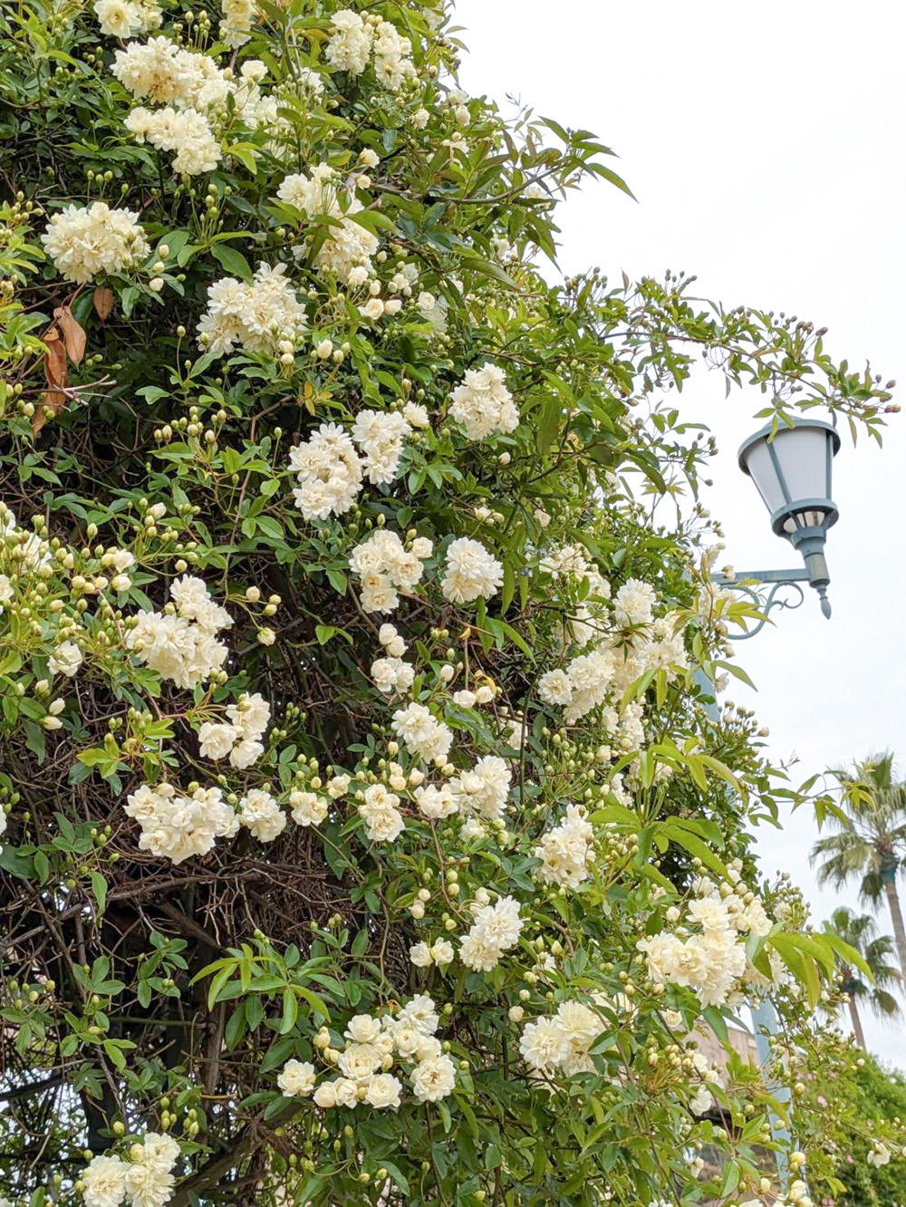 スタッフおすすめ旬なスポット