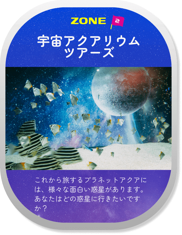 Zone 02