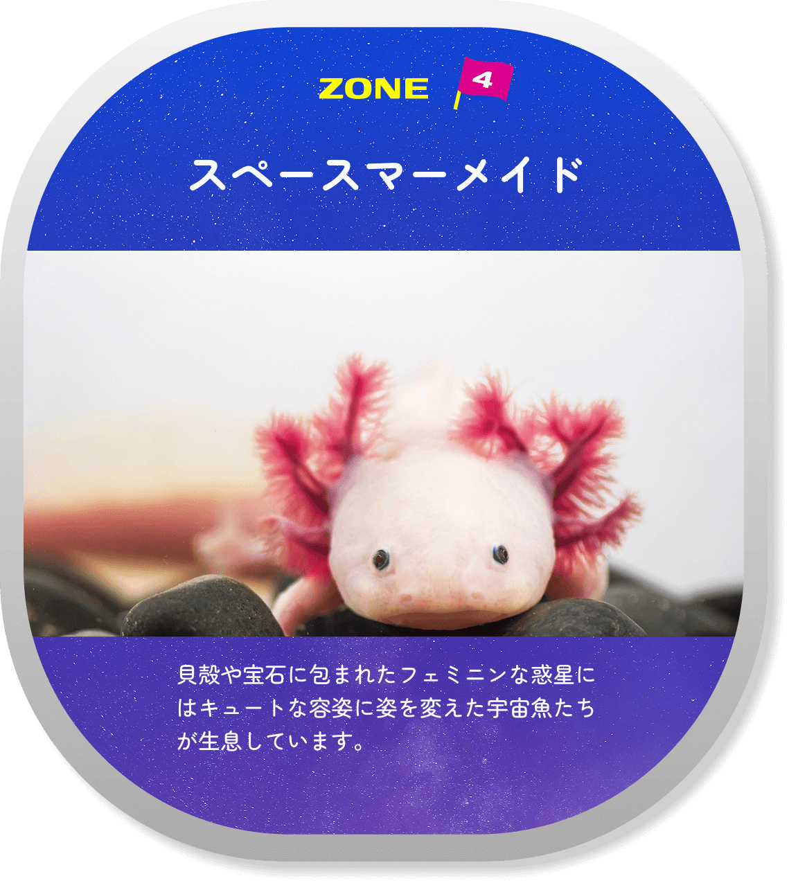 Zone 04