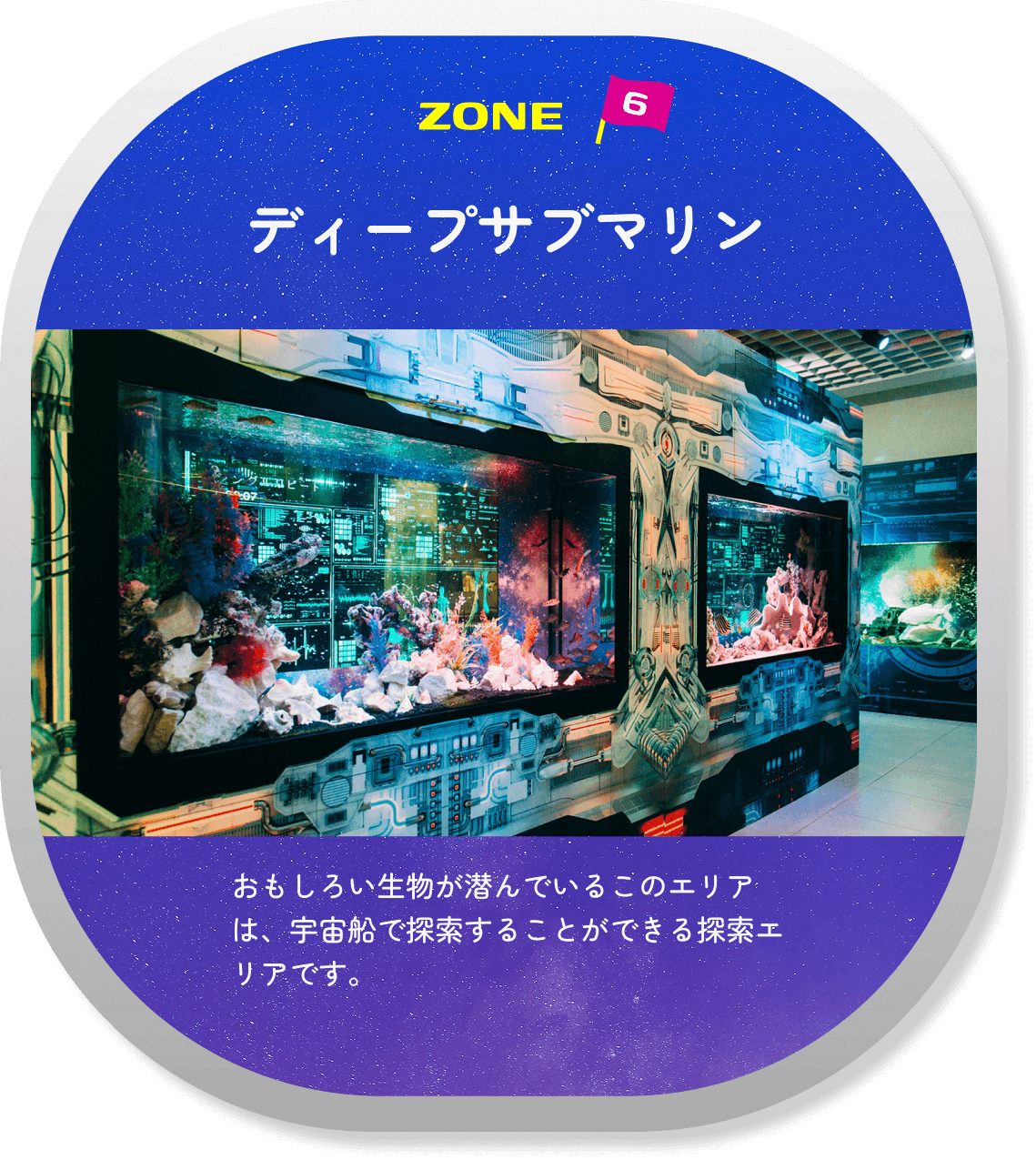 Zone 06