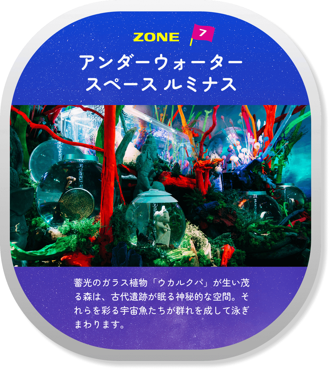 Zone 07