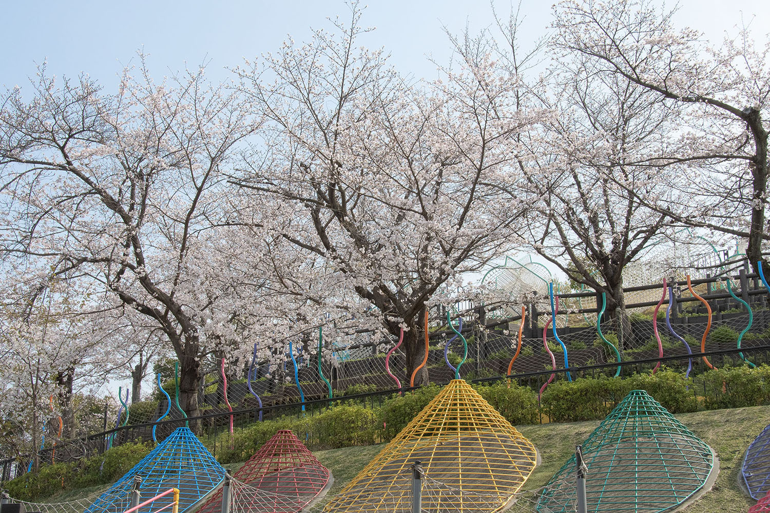 スタッフおすすめ旬なスポット