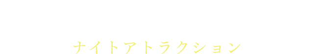 ATTRACTIONS ナイトアトラクション