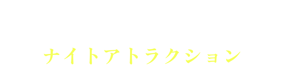 ATTRACTIONS ナイトアトラクション