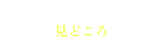 HIGHLIGHTS 見どころ