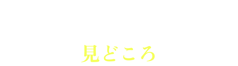 HIGHLIGHTS 見どころ